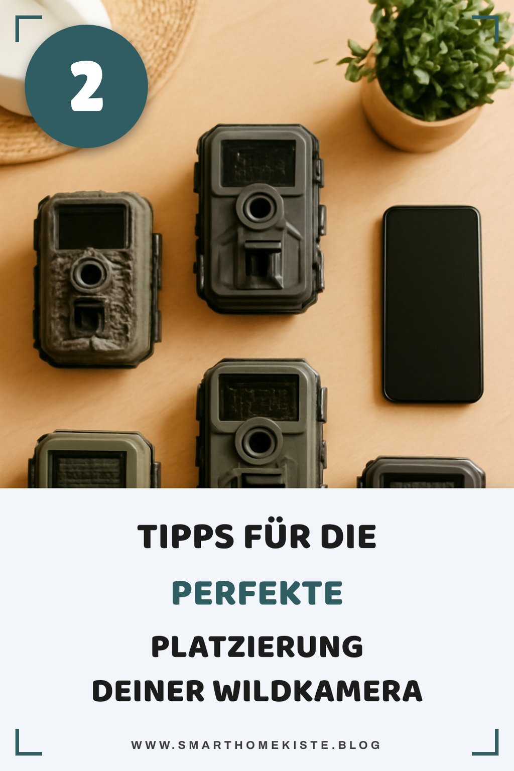 So platzierst du deine Wildkamera richtig