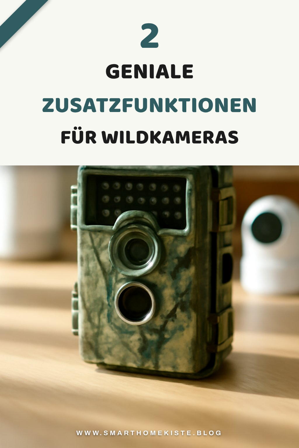 Die besten Zusatzfunktionen für Wildkameras