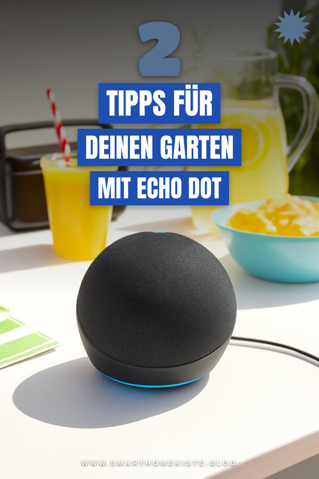 So hältst du deinen Garten mit Echo Dot im Blick